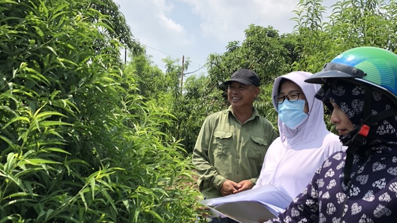 Hội LHPN quận Tây Hồ: 7 tháng đầu năm hỗ trợ 3.116 hộ vay vốn, không có nợ xấu