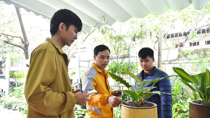 Dự án khởi nghiệp bắt đầu từ tấm lòng của một người cha