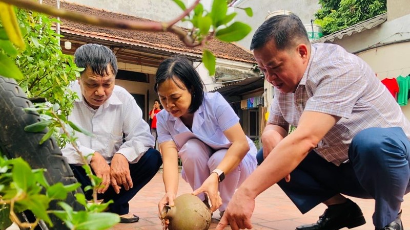 Hà Nội kiểm soát tốt dịch sốt xuất huyết, số ca mắc giảm mạnh