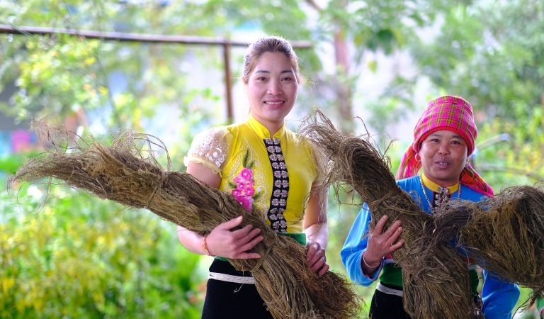 Cây gai xanh giúp phụ nữ dân tộc đổi đời