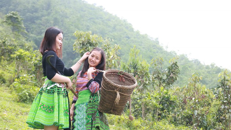 Tăng cường bình đẳng giới cho đồng bào dân tộc thiểu số 