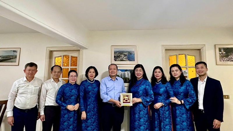 Thúc đẩy các hoạt động đối ngoại nhân dân giữa Hà Nội với Ai Cập và Nam Phi