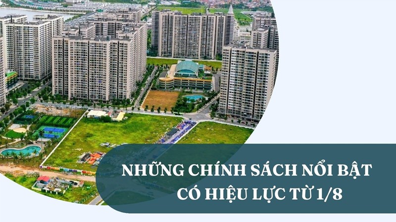[Infographic] Những chính sách nổi bật có hiệu lực từ 1/8 