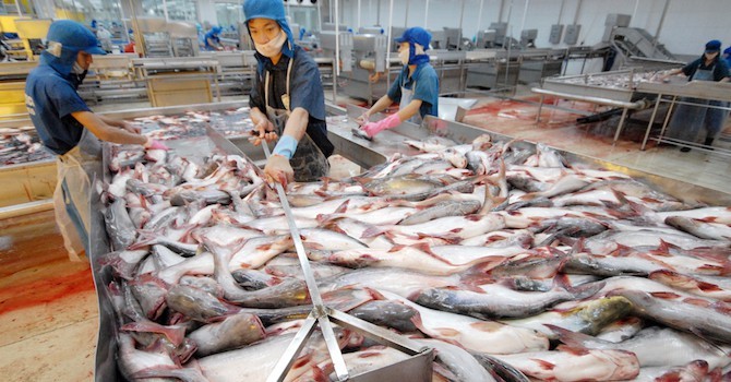 Kết nối với nhà nhập khẩu Chile, cơ hội giao thương cho doanh nghiệp Việt Nam