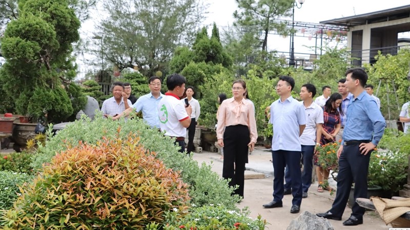 Phát triển khuyến nông đô thị kiến tạo không gian xanh cho Thủ đô