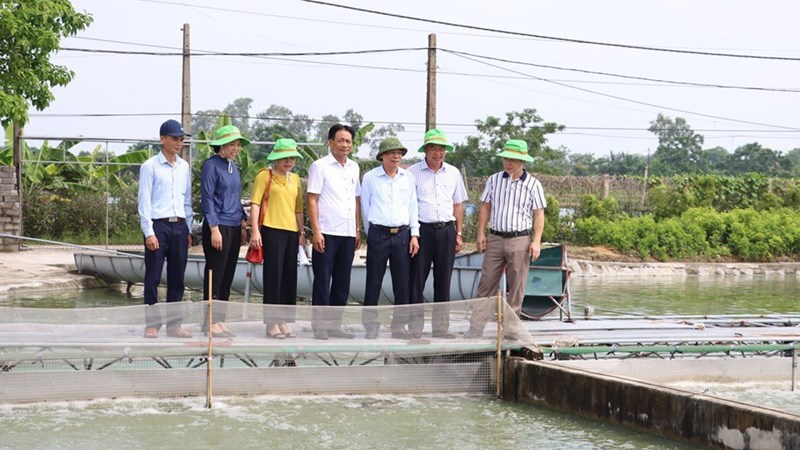Quỹ khuyến nông Hà Nội: “Bệ phóng” cho nông dân phát triển nông nghiệp, dịch vụ nông thôn