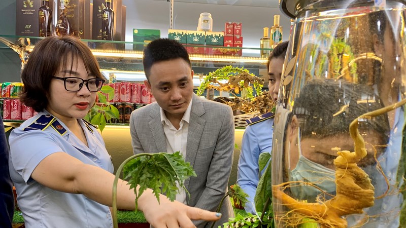 Tuần lễ “Nhận diện đúng sâm Ngọc Linh trên thị trường”