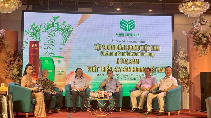 Trồng và phát triển cây đàn hương - cây “hoàng kim” có giá trị kinh tế cao