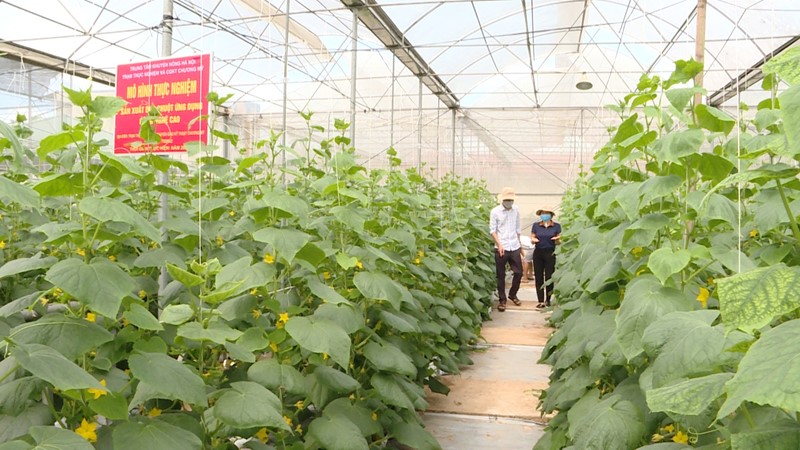 Đẩy mạnh hoạt động khuyến nông tạo sinh kế cho người dân