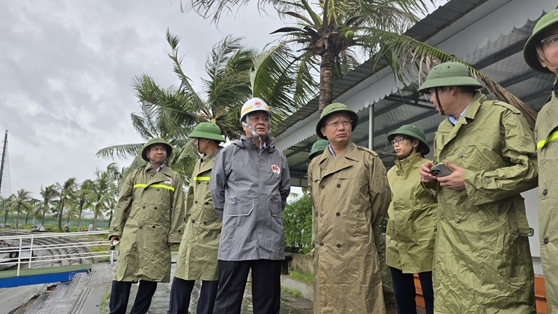 Bộ trưởng Bộ Nông nghiệp và Phát triển nông thôn kiểm tra công tác phòng chống bão tại Quảng Ninh