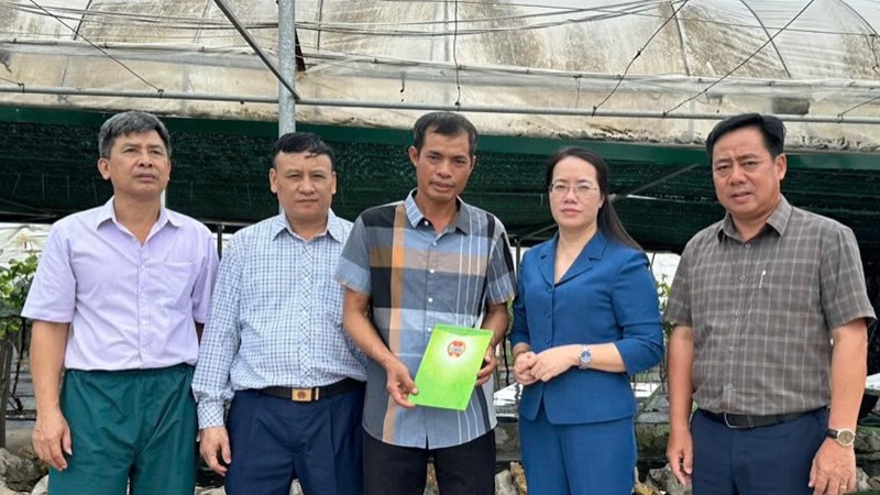 Hội Nông dân Hà Nội thăm các hộ nông dân bị ảnh hưởng do bão số 3