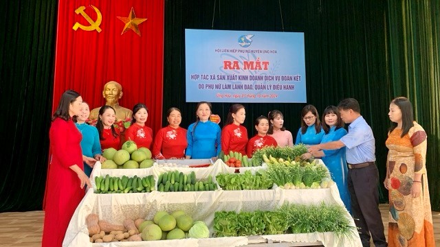 Ứng Hoà: Ra mắt Hợp tác xã kinh doanh dịch vụ Đoàn Kết 