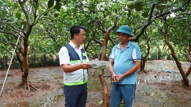 Khuyến nông Hà Nội phát triển các mô hình nông nghiệp bền vững