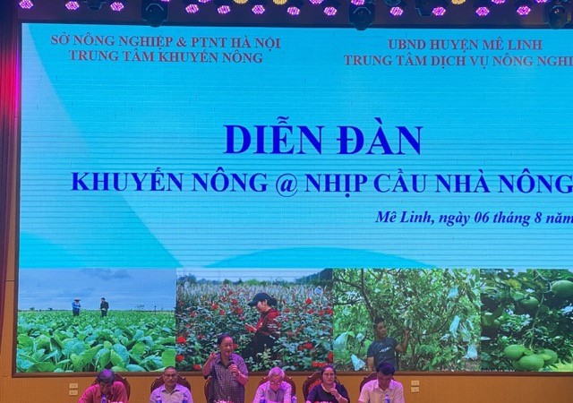 Nhịp cầu nhà nông nâng cao kỹ thuật canh tác cho nông dân Mê Linh