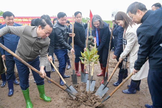 Bộ Tài nguyên và Môi trường phát động chương trình Tết trồng cây