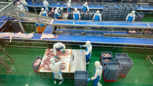 Hà Nội kiểm tra hoạt động giết mổ lợn tại Công ty CP Việt Nam chi nhánh Chương Mỹ