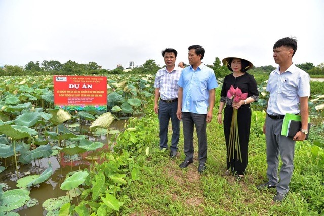 Hiệu quả từ Quỹ Khuyến nông Hà Nội: Tiếp sức nông dân ứng dụng công nghệ, phát triển nông nghiệp hiện đại