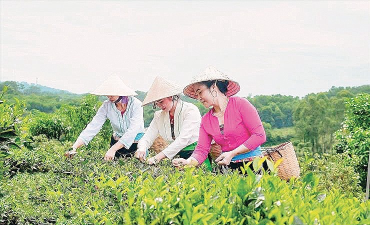 Sắp diễn ra Triển lãm sản phẩm thủ công mỹ nghệ phục vụ Xuân Bính Ngọ 2026 tại xã Suối Hai