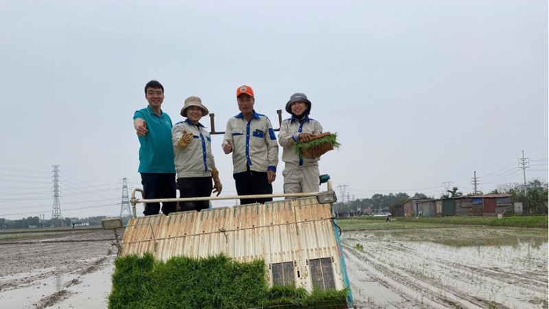 Nông dân xã Thư Lâm đồng loạt thực hiện cấy lúa vụ Xuân 
