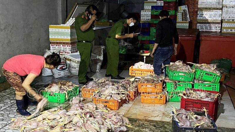 Bắt quả tang cơ sở sơ chế 2 tấn gà chết hôi thối làm giò chả
