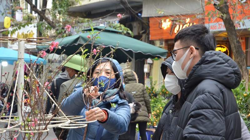 Nhộn nhịp khung cảnh chợ hoa Hà Nội ngày giáp Tết