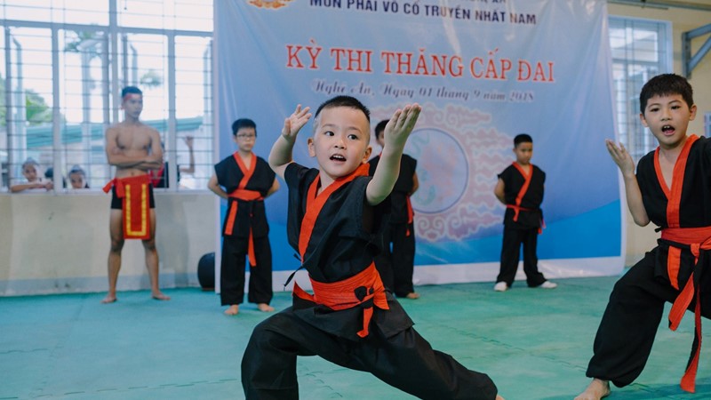 Tự hào võ Việt - võ Nhất Nam