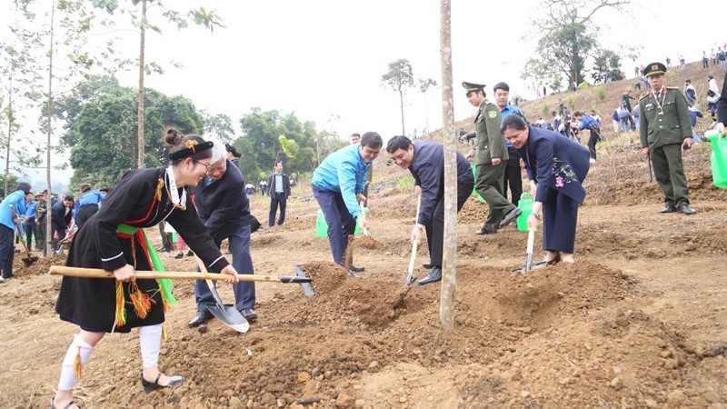 Trung ương Đoàn phát động Tết trồng cây và thi đua chào mừng Đại hội lần thứ XIV của Đảng