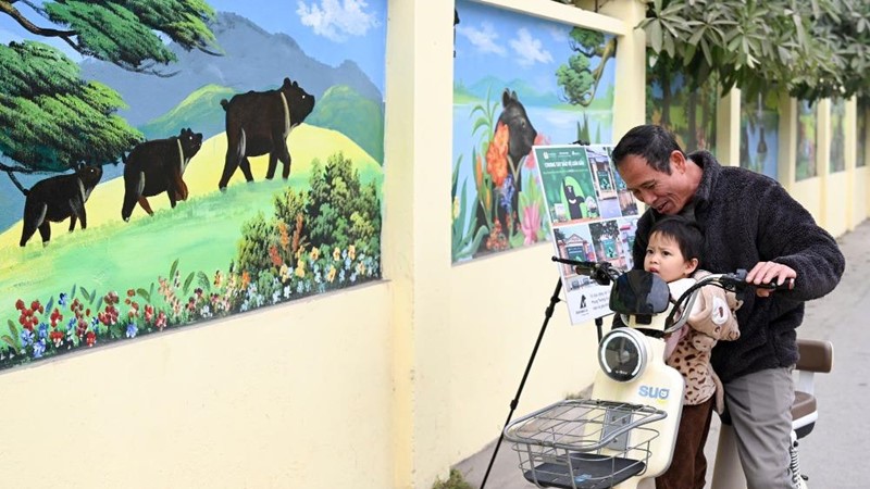 Độc đáo công trình bích hoạ bảo vệ gấu tại huyện Phúc Thọ, Hà Nội