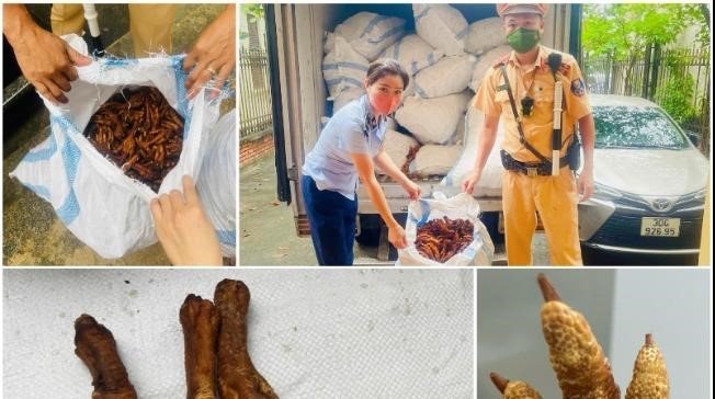 Công an Hà Nội phát hiện, thu giữ hơn 1,4 tấn chân gà không rõ nguồn gốc tại huyện Thạch Thất