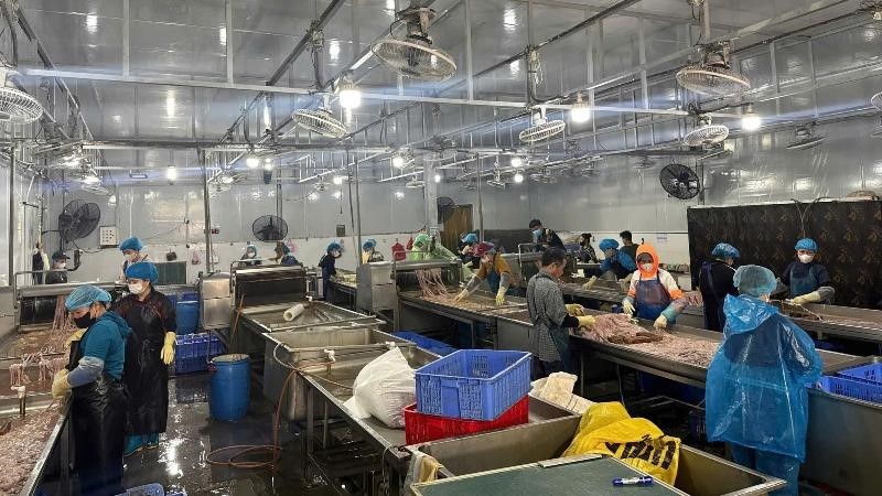 Xã Nam Phù thông tin chính thức về vụ thu giữ hơn 60 tấn thực phẩm không rõ nguồn gốc