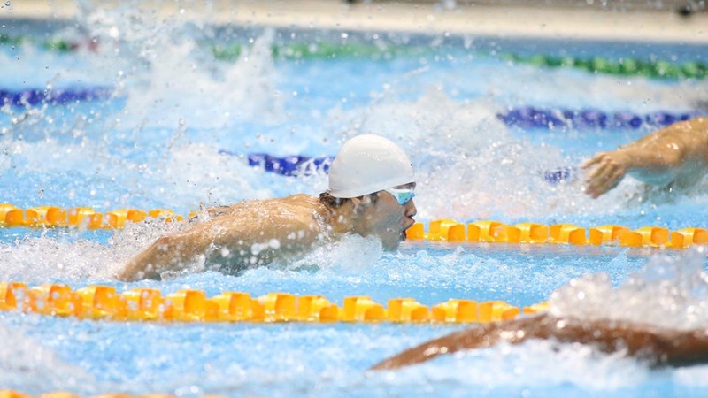 Bơi Việt Nam liên tiếp đón nhận huy chương