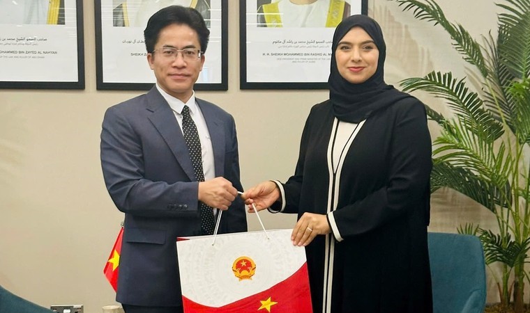 Thúc đẩy mối quan hệ hữu nghị từ hoạt động sôi nổi của các Đại sứ quán