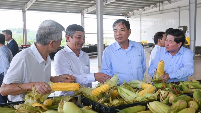 Lễ khánh thành dây chuyền đồ hộp giấy rau quả chế biến ở Sơn La