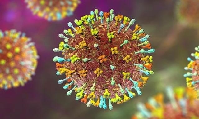 Ứng phó dịch virus Nipah: Nhiều sân bay lớn giám sát y tế như thời COVID-19