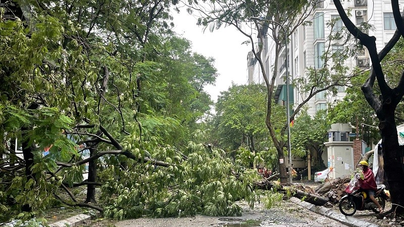 Sở GTVT Hà Nội triển khai các biện pháp cấp bách khắc phục hậu quả bão số 3