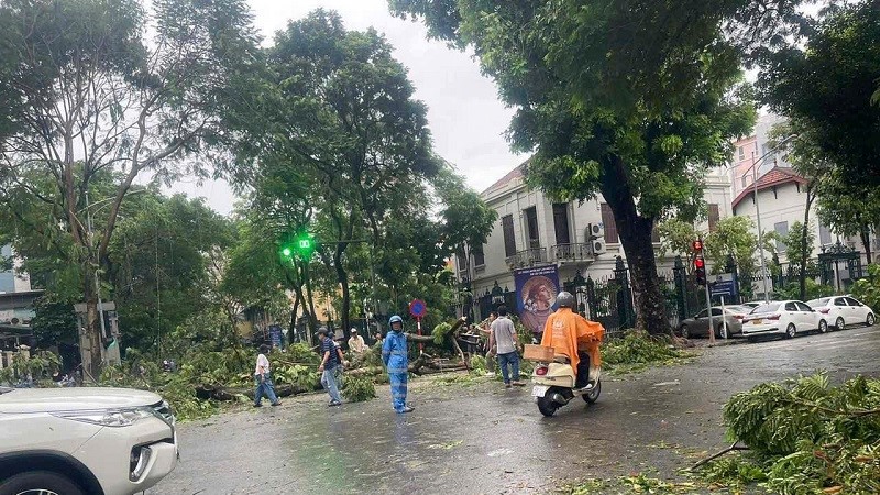 Bão Yagi gây ra 194 sự cố đường bộ tại Hà Nội