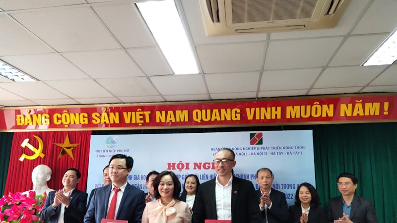 Triển khai thực hiện các chính sách tín dụng phát triển nông nghiệp, nông thôn