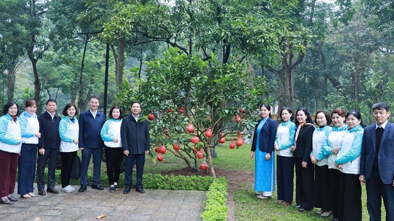 Hội LHPN Hà Nội hưởng ứng Tết trồng cây “Phụ nữ vun trồng tương lai” Xuân Giáp Thìn năm 2024