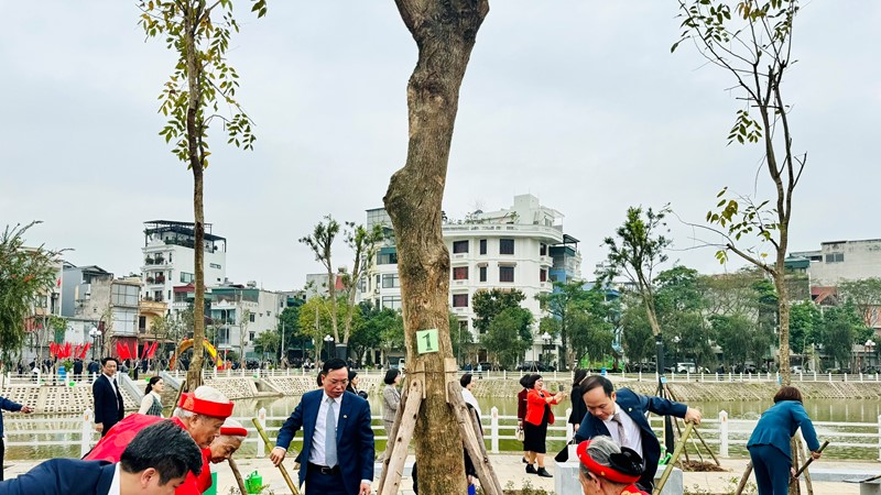 Quận Long Biên phấn đấu trồng mới hơn 6.000 cây xanh 