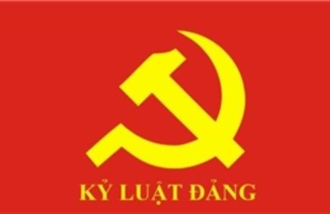 Bộ Chính trị, Ban Bí thư xem xét, thi hành kỷ luật đảng viên vi phạm
