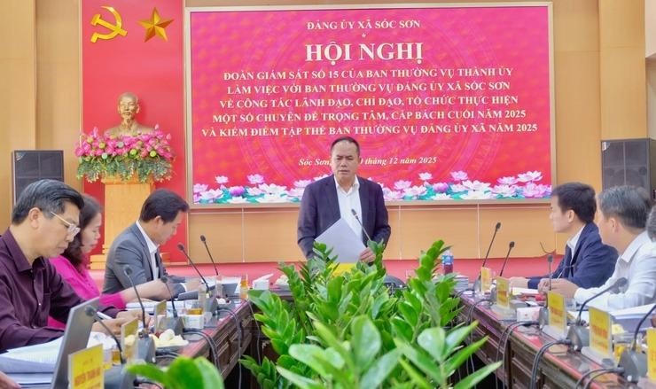 Đoàn giám sát số 15 của Ban Thường vụ Thành ủy Hà Nội làm việc với xã Sóc Sơn