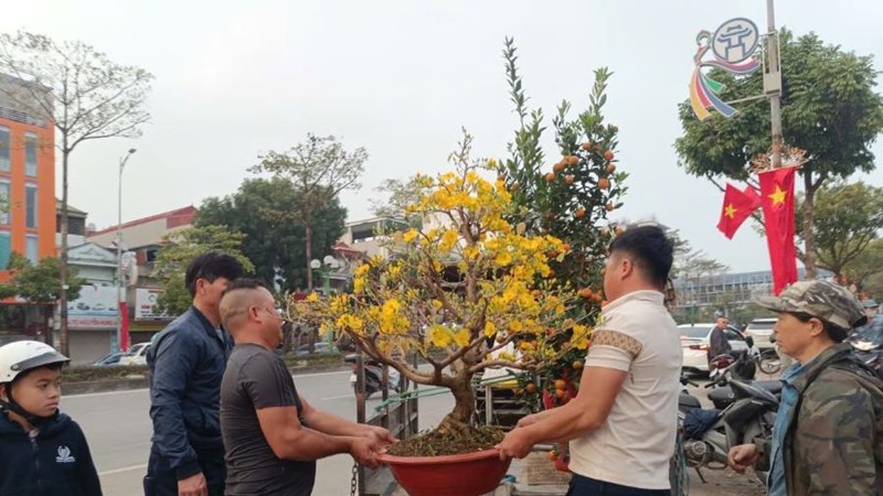 Người dân Hà Nội mang hương sắc xuân về cho gia đình