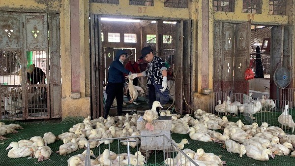 Nỗi lo khi lương cơ sở tăng