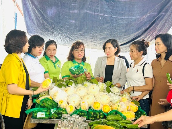 Nhiều mô hình phụ nữ làm kinh tế giỏi, giảm nghèo bền vững