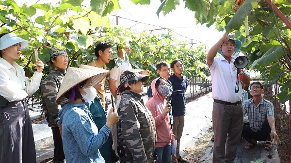 Giải “cơn khát” vốn cho nhà nông làm giàu