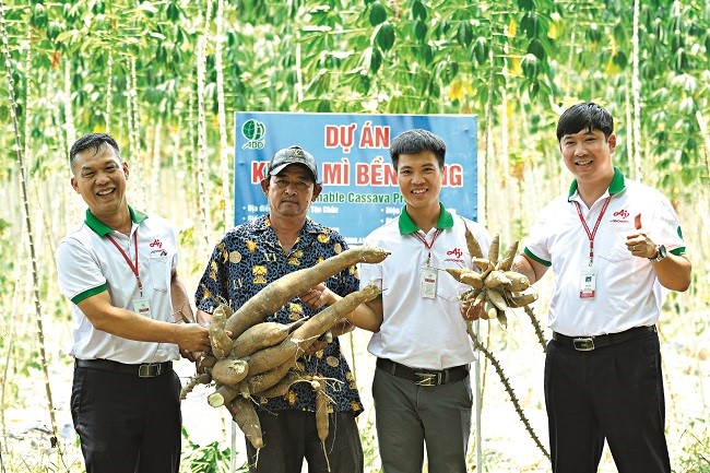 Sáng kiến “gỡ khó” cho nông dân trồng khoai mì từ Ajinomoto