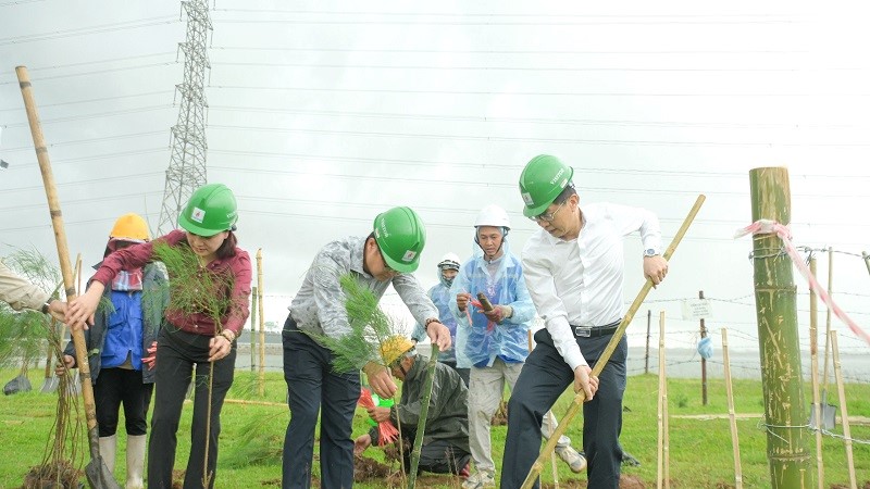 Petrovietnam: Trồng cây xanh là giải pháp quan trọng trong chuyển dịch năng lượng