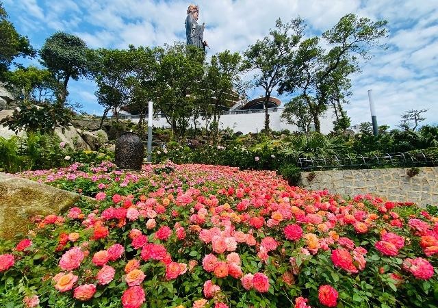 Không chỉ bắn pháo hoa, Núi Bà Đen còn vô số trải nghiệm hấp dẫn chào đón Tết Dương lịch