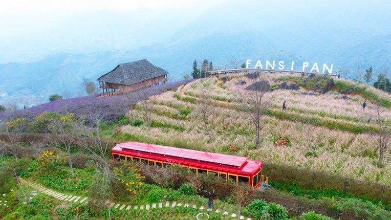 Du khách Tây thích thú săn mây, check in hoa Sen đá trên đỉnh Fansipan	
