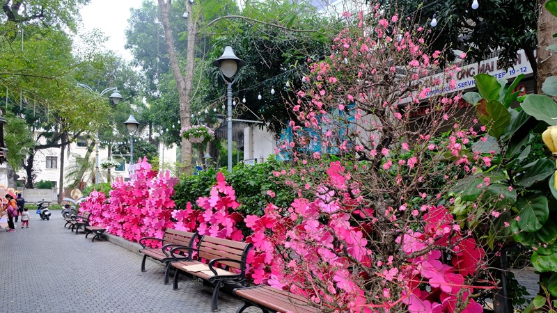 Phố Sách Hà Nội trang hoàng rực rỡ đón Xuân Giáp Thìn 